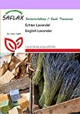 SAFLAX - Heilpflanzen - Echter Lavendel - 150 Samen - Lavandula angustifolia