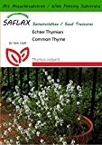 SAFLAX - Heilpflanzen - Echter Thymian - 200 Samen - Mit Substrat - Thymus vulgaris