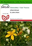 SAFLAX - Heilpflanzen - Johanniskraut - 300 Samen - Mit Substrat - Hypericum perforatum