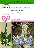 SAFLAX - Kräuter - Mexikanische Chia - 500 Samen - Mit Substrat - Salvia hispanica