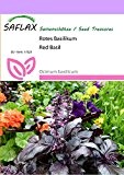 SAFLAX - Kräuter - Rotes Basilikum - 200 Samen - Ocimum basilicum