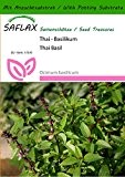 SAFLAX - Kräuter - Thai - Basilikum - 200 Samen - Mit Substrat - Ocimum basilicum