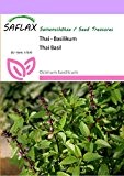 SAFLAX - Kräuter - Thai - Basilikum - 200 Samen - Ocimum basilicum