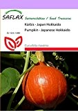 SAFLAX - Kürbis - Japan Hokkaido - 10 Samen - Cucurbita maxima