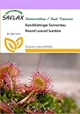 SAFLAX - Rundblättriger Sonnentau - 50 Samen - Drosera rotundifolia