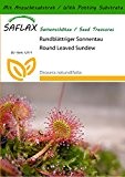 SAFLAX - Rundblättriger Sonnentau - 50 Samen - Mit Substrat - Drosera rotundifolia