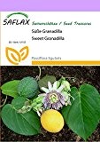 SAFLAX - Süße Granadilla - 20 Samen - Passiflora ligularis