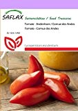 SAFLAX - Tomate - Andenhorn / Cornue des Andes - 10 Samen - Lycopersicon esculentum