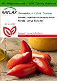 SAFLAX - Tomate - Andenhorn / Cornue des Andes - 10 Samen - Mit Substrat - Lycopersicon esculentum