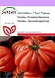 SAFLAX - Tomate - Costoluto Genovese - 10 Samen - Lycopersicon esculentum