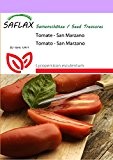 SAFLAX - Tomate - San Marzano - 10 Samen - Lycopersicon esculentum