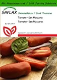 SAFLAX - Tomate - San Marzano - 10 Samen - Mit Substrat - Lycopersicon esculentum