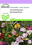 SAFLAX - Wildblumen: Schmetterlingswiese - 1000 Samen - 21 Sorten