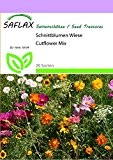 SAFLAX - Wildblumen: Schnittblumen Wiese - 1000 Samen - 20 Sorten