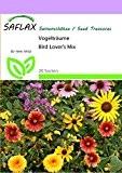 SAFLAX - Wildblumen: Vogelträume - 1000 Samen - 20 Sorten