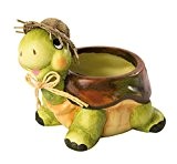 Saico HF_07_3085 Keramik-Schildkröte mit Pflanztopf, Höhe 10 cm