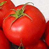 Saint Pierre - rote Gourmet-Tomate - 20 Samen