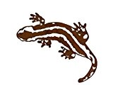 Salamander, Gecko, Eidechse (Edelrost-Deko)
