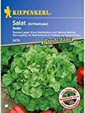 Salat Eichblattsalat Smile resistent