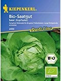 Salat Kopfsalat Ovation Bio-Saatgut