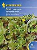 Salat Pflücksalat Amerikanischer Brauner 50gr