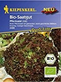 Salat Pflücksalat rot Bio-Saatgut