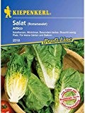 Salat Romanasalat Salatherzen Attico resistent