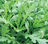 Salatchrysantheme - Chopsuey Greens - Shungiku - Salat - 100 Samen