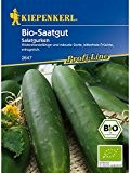 Salatgurken Bio-Saatgut