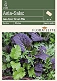 Salatsamen - Asia-Salat Asia Spicy Green Mix von Flora Elite