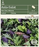 Salatsamen - Asia-Salat Pak Choi, Mizuna, Saatband von Flora Elite