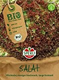 Salatsamen - Bio-Salat (Pflücksalat) rot, gekraust Bio-Saatgut von Sperli-Samen