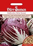 Salatsamen - Radicchio Palla Rossa von Dürr-Samen