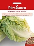 Salatsamen - Romana-Salat Attico von Dürr-Samen