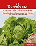 Salatsamen - Romana-Salat/Bindesalat hoher von Dürr-Samen