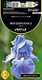 Samen Batlle - Iris germanischen Glaskolben Blau