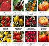 Samen - Saatgutsortiment 1 - Set - Mix - Mischung - historische Tomatensorten - 12 Sorten á 10 Samen