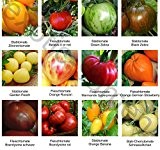 Samen - Saatgutsortiment 2 - Set - Mix - Mischung - historische, samenechte Tomatensorten - 12 Sorten á 10 Samen
