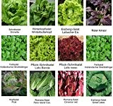 Samen - Saatgutsortiment - Set - Mischung - Mix - Salatbeet 1 - 12 Sorten - ca. 2.900 Samen