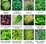 Samen - Saatgutsortiment - Set - Mischung - Mix - Salatbeet 2 - 12 Sorten - ca. 3.150 Samen