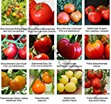 Samen - Saatgutsortiment - Set - Mix - Mischung - frühe und kältetolerante Tomatensorten - 12 Sorten á 10 Samen