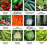 Samen - Saatgutsortiment - Set - Mix - Mischung - kleiner Gemüsegarten Startset - 12 Sorten - 1.380 Samen