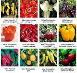 Samen - Saatgutsortiment - Set - Mix - Mischung - Peperoni - Gemüsepaprika, Minipaprika und milde Chilis - 12 Sorten ...