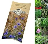 Samen-Set: 'Mehrjährige Gartenkräuter', Saatgut für 5 winterharte Würzpflanzen als Samen zur Anzucht in schöner Geschenkverpackung