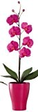 Scheurich Orchidee, 126045, rosa, 35x10x10 cm, 46383
