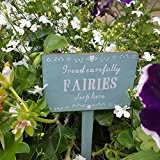 Schild "Fairies Sleep Here" von Sass & Belle