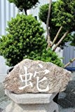 Schlange - Chinesisches Tierkreiszeichen Schriftzeichen Naturstein Findling