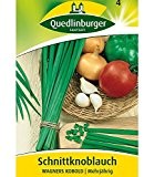 Schnitt-Knoblauch 'Wagners Kobold', 1 Tüte Samen