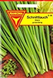 Schnittlauch, Allium schoenoprasum, ca. 150 Samen