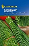 Schnittlauch-Saatgut: Schnittlauch 'Miro', feinröhrig, Allium schoenoprasum - 1 Portion